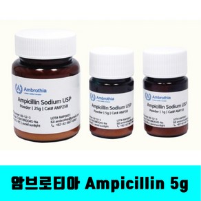 [클릭해바] Ampicillin sodium usp grade 암브로티아 AMP5B 5G 항생제 암피실린 파우더 미생물 실험 과학 감수성 내성 antibiotics 시약