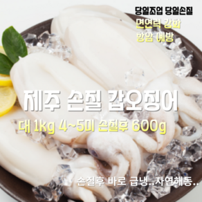 [산지직송] 국내산 자연산 제주 손질 갑오징어 대 1kg 4~5미 손질후 600g, 1박스