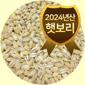 2024년산 국내산 늘보리 20kg 햇보리 보리밥 보리쌀