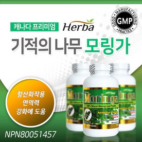 [허바] 모링가 180정 (HERBA - MORINGA), 1개