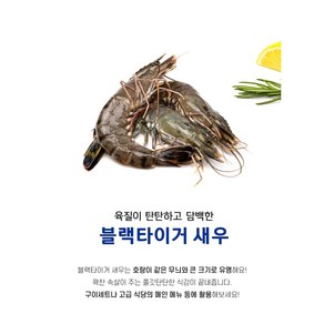 블랙타이거새우500g 8미