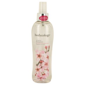 바디콜로지 Bodycology Chey Blossom Fagance Mist Spay 240 ml fo Women(관세포함), 240ml, 1개