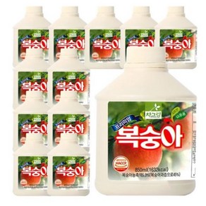 차그림 복숭아 원액 850ml, 12개