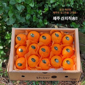- 3일간반짝할인 - 카라향 3kg(로얄과 선물용 12~17수 ) 상큼함이 팡팡터지는 제주의봄 과일선물세트 박스무게포함, 1박스