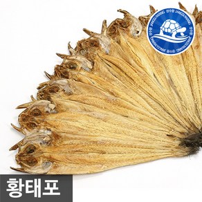 장수왕 진부령 건조 황태포 중자 10마리(38-40cm) 황태, 1개, 10마리, 650g