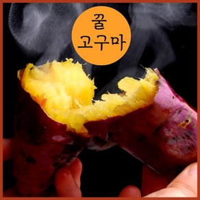 루라영 꿀고구마 토울 고구마 프리미엄 호박 밤 산지직송, 1개, 2kg(꼬마)