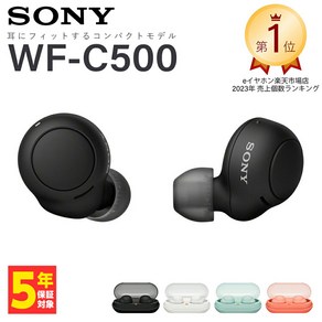 SONY WF-C500 BZ WFC500BZ 소니 완전 무선 이어폰 블랙 블랙 블루투스 이어폰