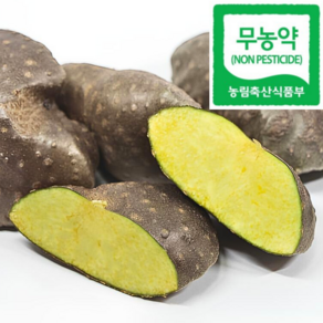 [쿠팡한정기획] 신선들도즐긴 천상의선물 농장직송 열매마, 1박스, 3kg(상특)