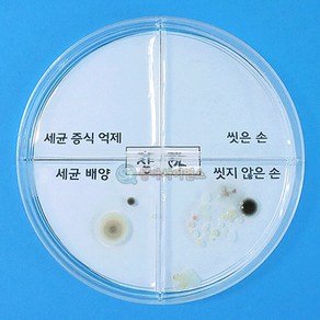 세균 배양과 증식 억제 실험하기(4인세트)