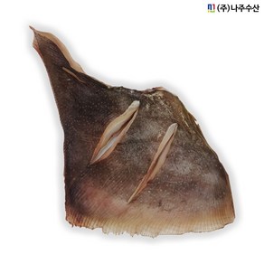 [나주수산] 반건조홍어 날개 아르헨티나 건조전 800g 이상, 1개