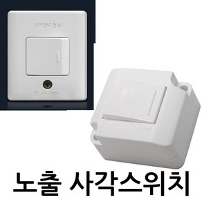 현대 노출 사각스위치