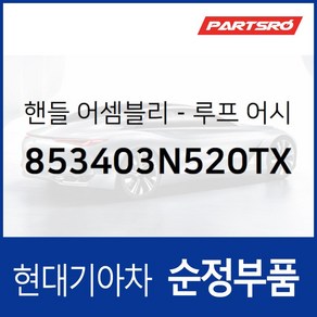 실내 천장 손잡이 (루프 어시스트 핸들) 뒷좌석 조수석쪽 (853403N520TX) 에쿠스 VI, 1개