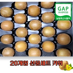 골드키위 레드키위 선물세트, 1박스, 골드키위 3.0kg(개당 150g 내외)