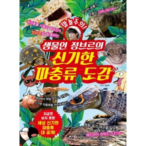 깜놀주의!생물인 정브르의 신기한 파충류 도감:세상 신기한 파충류 대 공개!, 베가북스