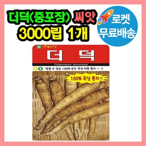 더덕 씨앗 중포장 (합 3000립) 뿌리식물 더덕종자 씨, 1개