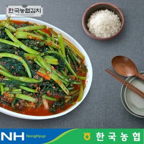 [한국농협김치] 전라도 순천 남도 열무김치 3kg, 1개