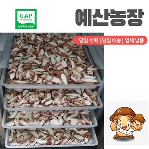 GAP인증 표고버섯 말린 건조 슬라이스 100g