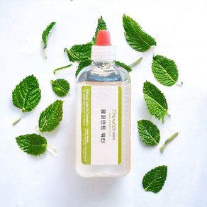 [더위치] 페퍼민트워터 100ml 페퍼민트잎수 Mentha Piperita Peppermint Leaf Water