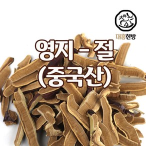 대흥한방 영지버섯(절) 중국산 3000g, 1개, 3kg