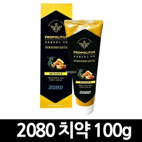 2080 프로폴리투스 로얄 허니민트향 치약 100g x 40개 / 구강 양치 입냄새 청결