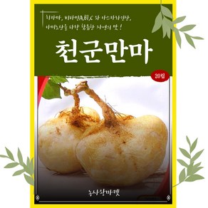 천국만마 20립 히카마 얌빈 비타민이 풍부한 히카마 그린하트바이오, 6.명산더덕 1000립