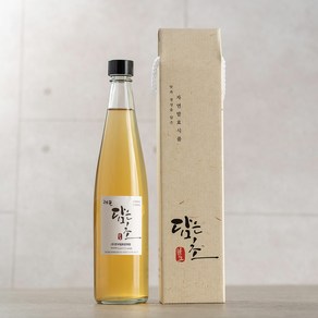 [담은발효초] 천연발효식초 레몬식초 (주)한국발효문화원, 1개, 300ml