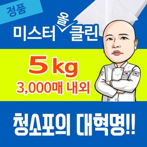 미스터올클린 대용량 청소포 플레인 3000매내외, 1개