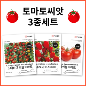 [주주씨앗] 토마토씨앗 3종세트 대추방울토마토 완숙 찰토마토 방울토마토 과채류 종자 채소씨앗 채소씨 토마토씨, 1개