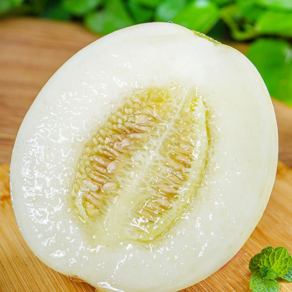 [2주한정] 당도폭발 산지직송 16년메론장인 수신메론, 1개, 5kg