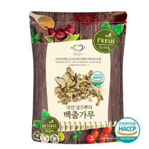 푸른들판 국산 백출 가루 분말 100% 삽주 뿌리 차 HACCP 인증, 1개, 100g