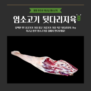 [그린푸드시스템] 냄새 없는 염소 고기 뒷다리지육 3kg, 1개