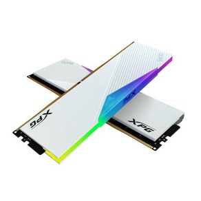 [ADATA] XPG DDR5 PC5-48000 CL30 LANCER RGB 화이트 [32GB (16GB*2)] (6000)