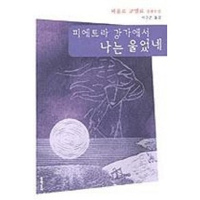 피에트라 강가에서 나는 울었네:파울로 코엘료 장편소설