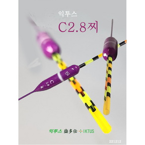 익투스 C2.8주간찌