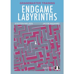 (영문도서) Endgame Labyinths Papeback, Quality Chess, English, 9781784831523