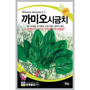 초가을의 고온기 시금치씨앗 까미오시금치 30g, 1개