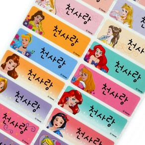 네임에이드 방수네임스티커 디즈니 프린세스 princess 네임스티커