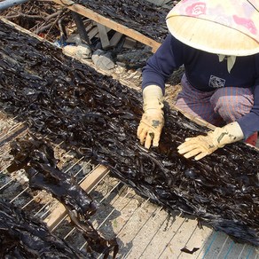 자연산 돌미역대장각 울산 정자 귀한 고급 미역 돌미역 산모용 매년 한정수량 쪽빛누리, 1개, 1.7kg