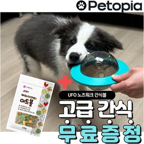 [펫토피아] 강아지 고양이 노즈워크 장난감 고급간식 무료증정