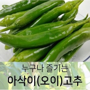 누구나 즐기는 아삭이(오이)고추 상 5kg