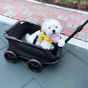 펫츄츄 미니 애견 유모차 반려동물 강아지 고양이, 올블랙