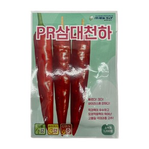 고추씨앗 삼대천하 1200립 종자 칼라병 탄저병 역병 극강 제농 +자재스토어 장갑셋트, 1개