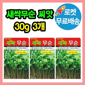 새싹무순 씨앗 (합 90g) 새싹씨앗 새싹채소 무순, 3개