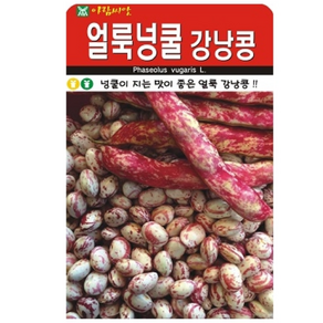 재래종 얼룩넝쿨 강낭콩 30g