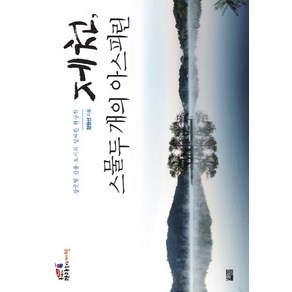 제천 스물두 개의 아스피린:살굿빛 산골 도시의 알싸한 현상학, 해토, 정원선 저