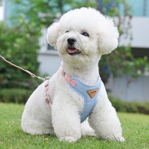 비비코코 반려동물 강아지 하네스 리드줄 반려견 목줄 소형견 중형견 목줄, 1개, 블루