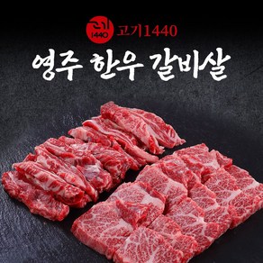 [고기1440]영주 한우 갈비살 (냉장) 구이용, 1등급, 1개, 300g