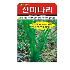 산미나리 씨앗 400립, 1개