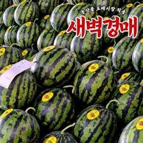 [당일출고] 새벽경매 12브릭스 고당도 수박, 1박스, 4KG~5KG