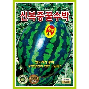 신복중꿀수박 수박씨앗 30립, 1개